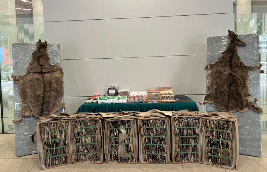 hk_c_1761559355034029736.png hk_c_image.png