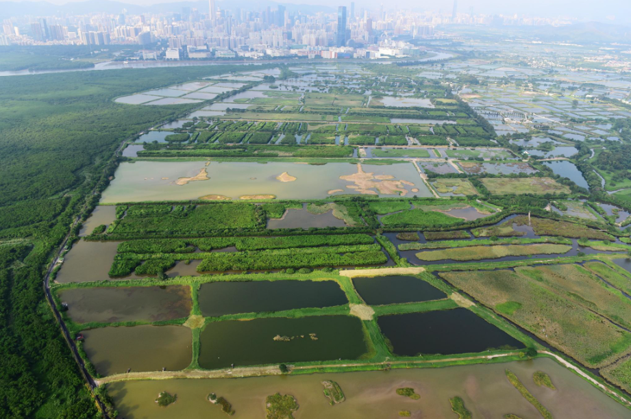 hk_c_1765532215759016858.png hk_c_image.png