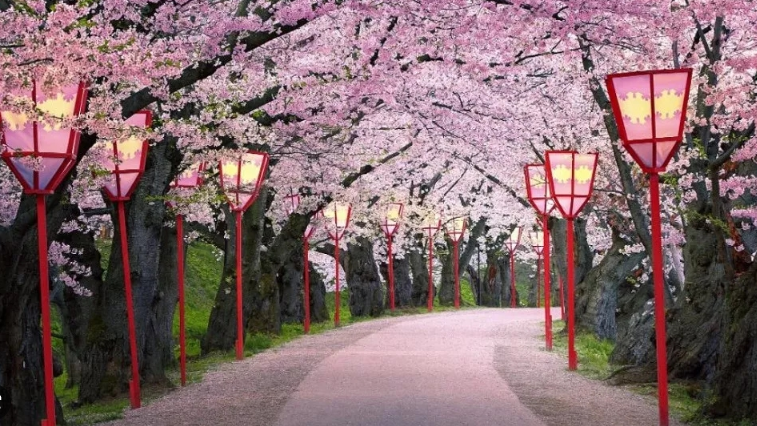 hk_c_1682170830490041799.png hk_c_image.png