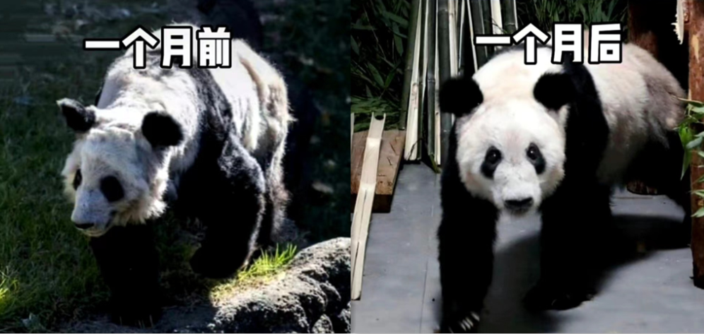 hk_c_1685410723345090443.png hk_c_image.png