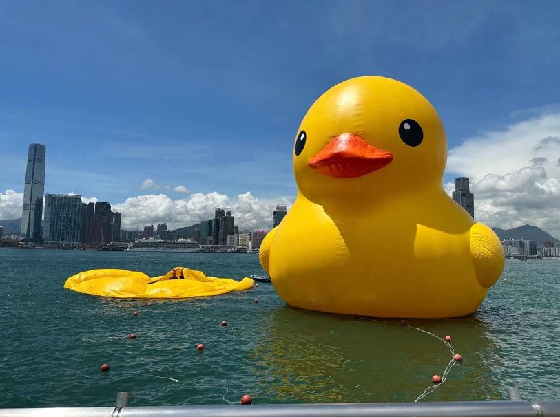 hk_c_1686469192603021853.png hk_c_image.png