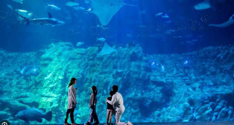 hk_c_1691063621939022297.png hk_c_image.png