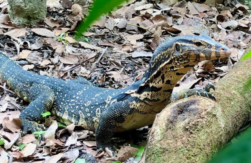 hk_c_1693229183958022929.png hk_c_image.png