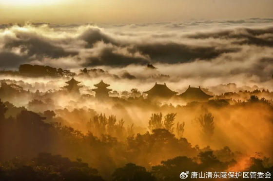 hk_c_1693706839927082747.png hk_c_image.png