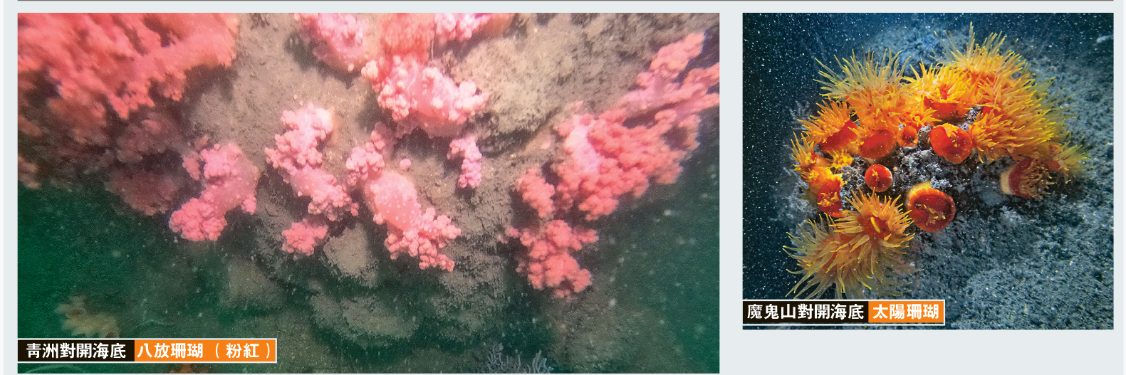 hk_c_1704351541507040417.png hk_c_image.png