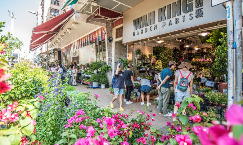 hk_c_1706966510759001252.png hk_c_image.png