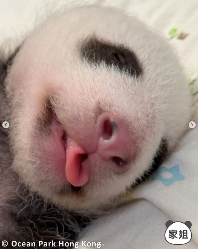 hk_c_1726718229759016078.png hk_c_image.png