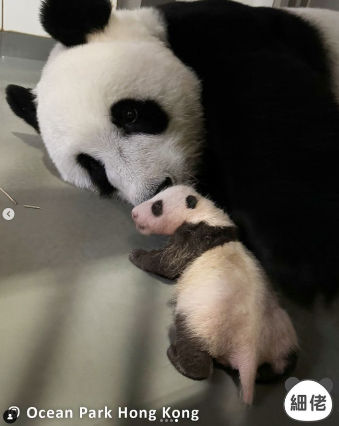 hk_c_1726718241840096582.png hk_c_image.png