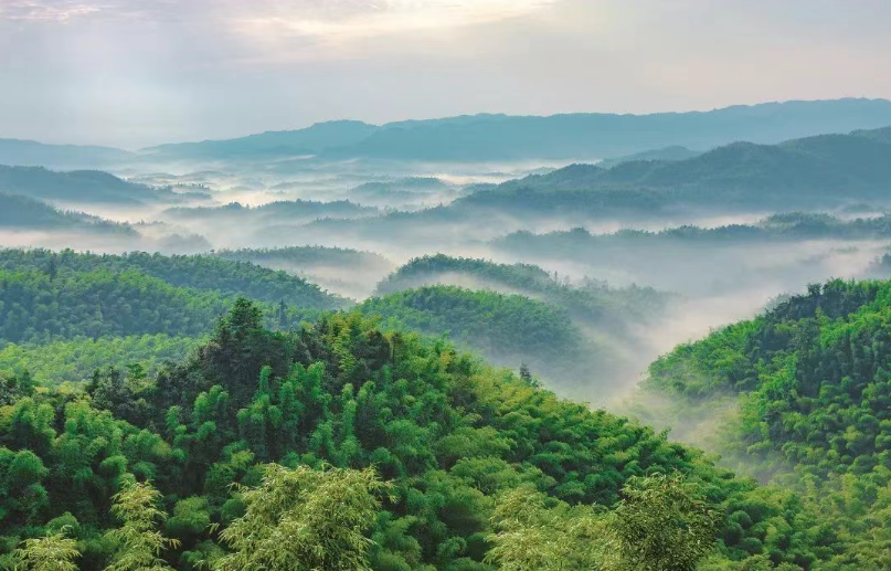 hk_c_1743664003082001615.png hk_c_1743664096991.png