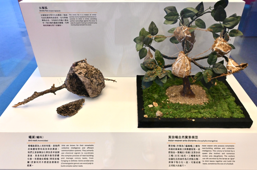 hk_c_1759406402948073660.png hk_c_image.png