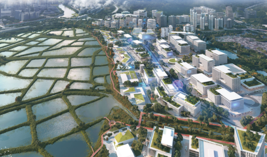 中央宣講團成員實地調研香港北部都會區