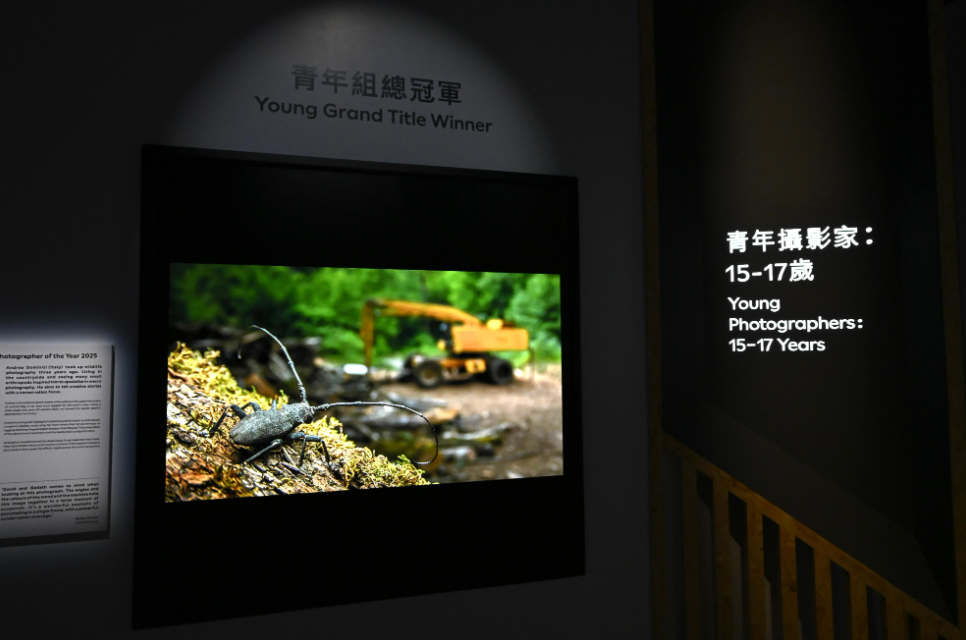 hk_c_1776342433815054591.png hk_c_image.png