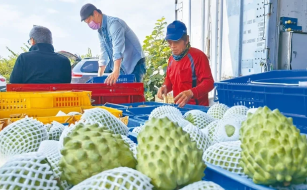 hk_c_1782217134938012976.png hk_c_image.png