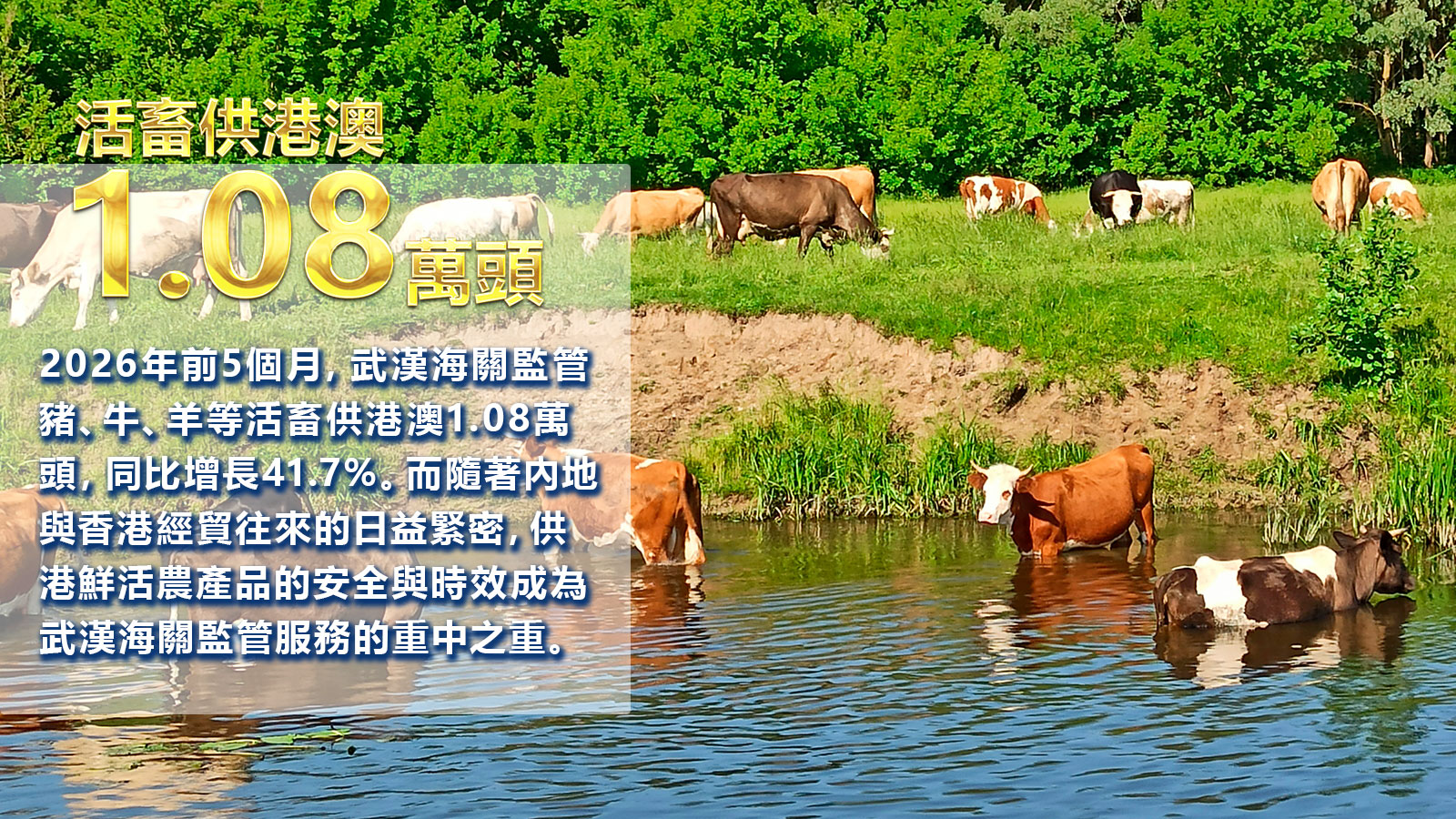 hk_c_1783407177084072623.jpg hk_c_4.jpg