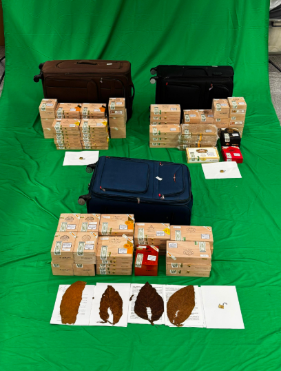 hk_c_1786435001760004167.png hk_c_image.png
