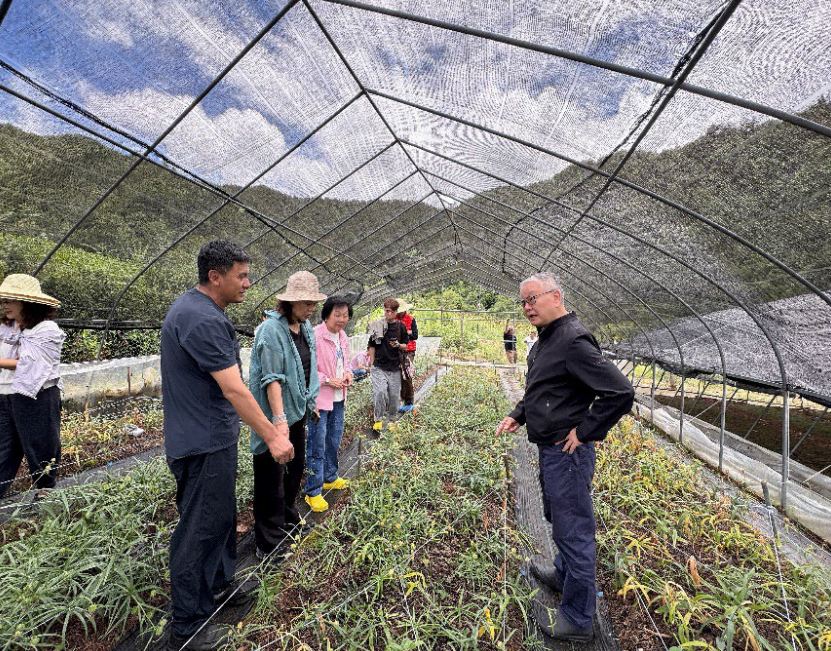 hk_c_1786691442592094975.png hk_c_image.png