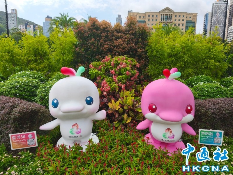 中國體育盛會倒計時 十五運會點燃消費新引擎