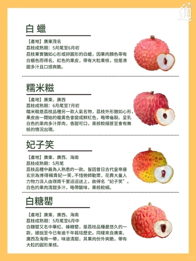 荔枝季來了!一文看懂品種特點+產地風味